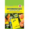 Quality Εντομοπαγίδες Σετ 10 τμχ 24x17 cm Κίτρινο