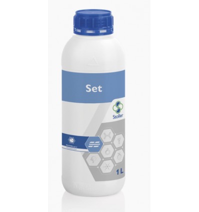 Set 1 LTR