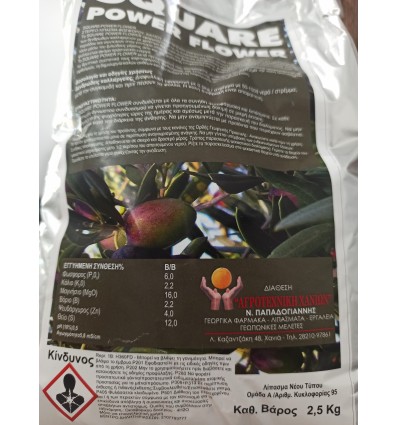 SQUARE POWER FLOWER 2,5 Kg